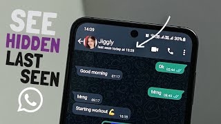 How to See Hidden Last Seen on WhatsApp? [100% Working] screenshot 1