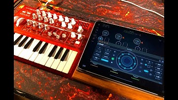 Arturia MicroBrute - Enso Audio Looper - Loads of FX - AUM Session - Live