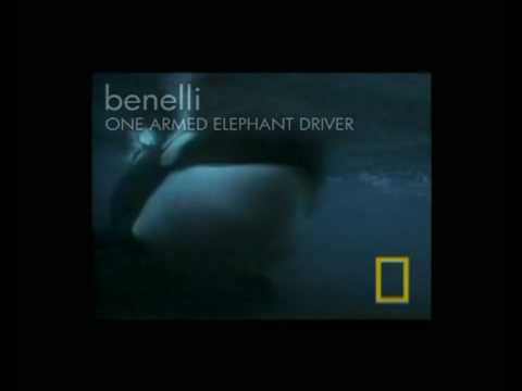 Benelli Music Video