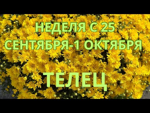ТЕЛЕЦ ♉️ ТАРОСКОП С 25 СЕНТЯБРЯ-1 ОКТЯБРЯ-2023 от Alisa Belial.