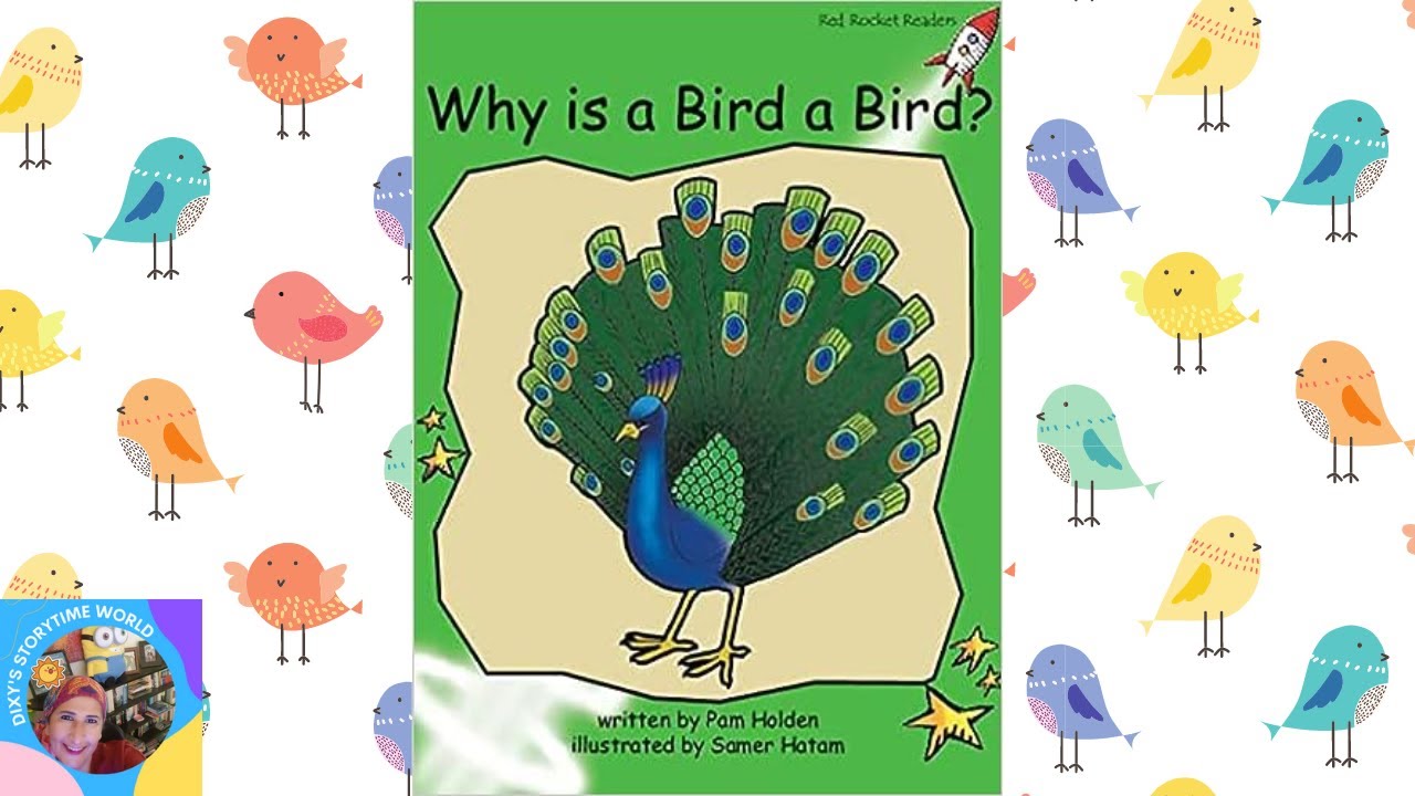 🐦What Makes a Bird a Bird?📚A Kids Read Along Storybook in HD - YouTube