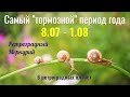 Самый "тормозной" период года 8.07 - 1.08: Ретроградный Меркурий в 2019 году