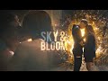 Bloom &amp; Sky || Love Me Like You Do