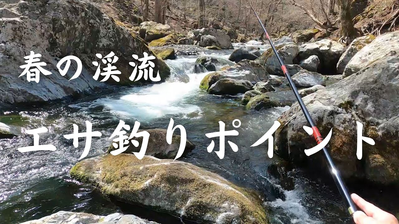 春の渓流 エサ釣りポイント ヤマメ Youtube