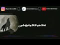 مهرجان تخافو من اسمنا بيكا وقدورة 2019 اكتسااااح مهرجان تخافو من اسمنا بيكا وقدورة 2019 اكتسااااح
