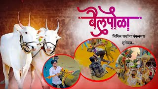 अचनक बल उधळल Bail Pola 2023