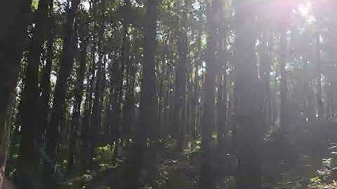 Riders are enjoying their lives in nature with courage & advantageous behavior 