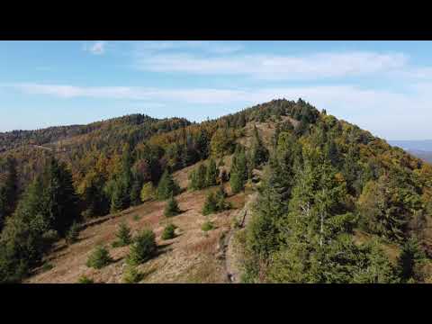 Video: Great Smoky Mountains za posjetitelje s niskim budžetom