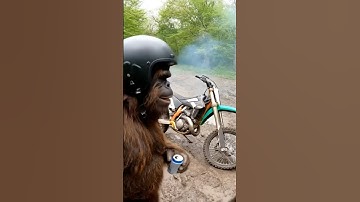 They didn’t catch us #ai #funny #vlog #gorilla #vlogger #comedy #vlogging #bigfoot #vlogs