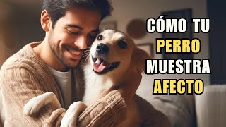 Los Secretos del Lenguaje Canino: Maneras en que tu Perro Dice 'Te Quiero'