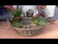 Planting a Miniature Garden Container Planting a Miniature Garden Container