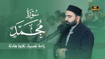 سورة محمد كاملة | تلاوة هادئة راحة نفسية | القارئ فرمان شواني