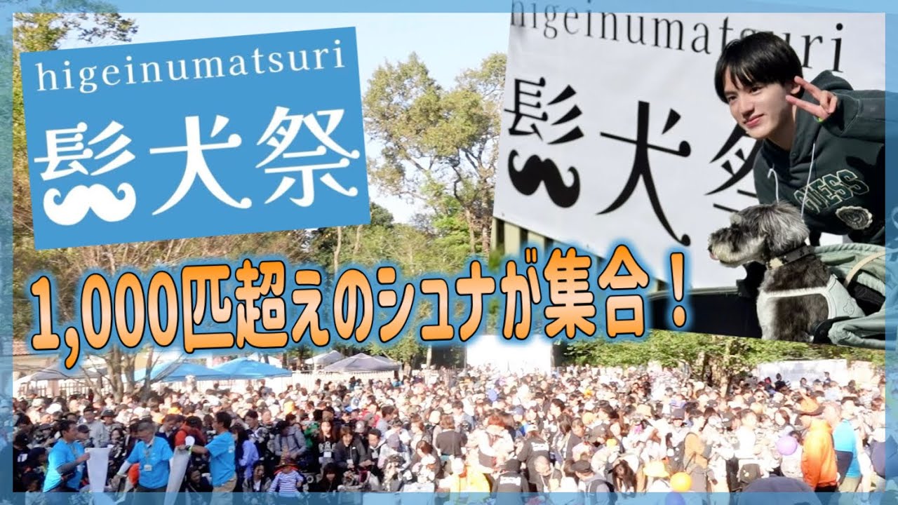 🐶【髭犬祭2024】全国からシュナウザー大集合でお祭りすぎた！