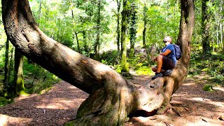 Hiking Alone a few miles in Río da Fraga (Moaña)