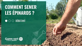 [TUTO] Comment semer les épinards  - Jardinerie Gamm vert