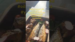 Roasted Mackerel With Herby Garlic And Habenaro Mix Ayeshas Unique Cuisines