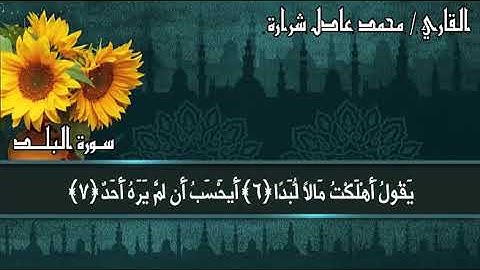 سورة البلد القارئ محمد عادل شرارة