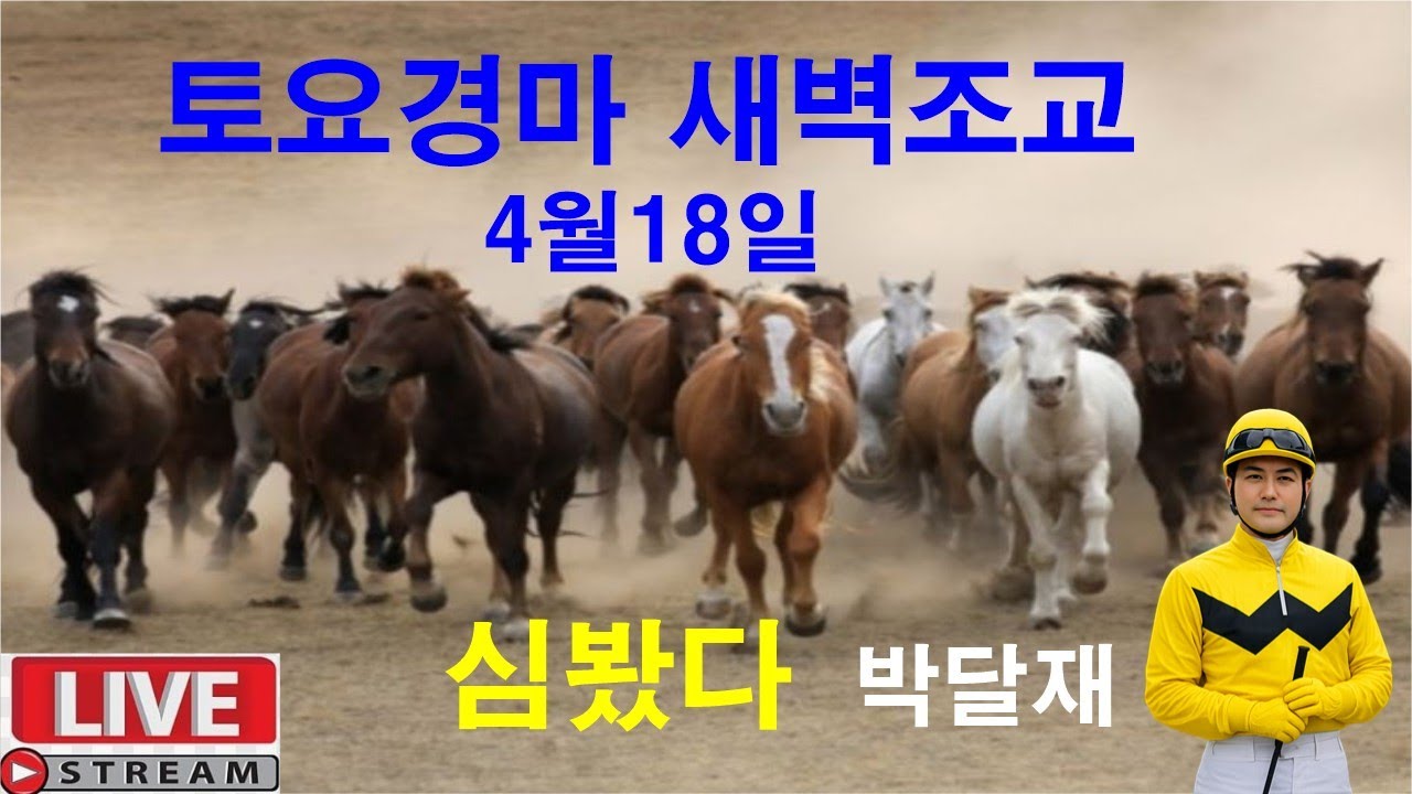 4월18일 토요경마  새벽조교 분석방송 경마예상 추천마번 복병마  온종일 라이브 방송 경마장 심마니 박달재 서울경마 부경경마 제주경마 경주분석 추천마번 예상방송 박달재