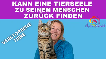 Sind unsere verstorbenen Tiere bei uns?