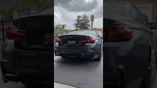 Csl Taillights On The F82 M4