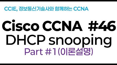 시스코(Cisco) CCNA #46(DHCP Snooping) part#1(기본 이론)