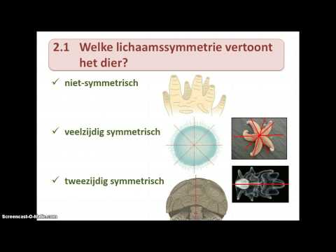 Video: Verschil Tussen Antibloedplaatjes En Anticoagulans