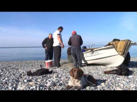 მგზავრის წერილები-სოფელი გონიო