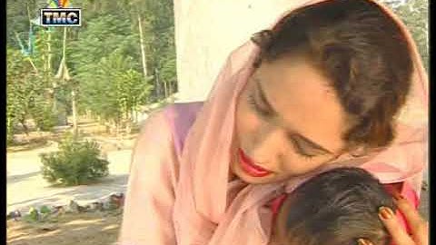 Peer Nigahe Wala Vol 3 | Daani Jatti (Part 3) | TMC