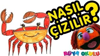 Nasıl Çizilir? - Yengeç - Çocuklar İçin Resim Çizme - RÜYA OKULU