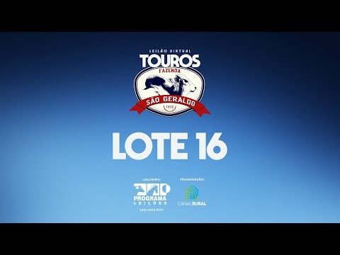 LOTE 16