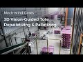 3D Vision-Guided Tote Depalletizing & Palletizing with Mech-Mind to Support a Toys Manufacturer.