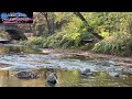 ._’Listen carefully the beautiful sounds of the river💦_.’-TinègjacquetA]💯% ☝🏻