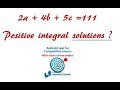 Integral solutions of the given equations CAT Quantitative aptitude