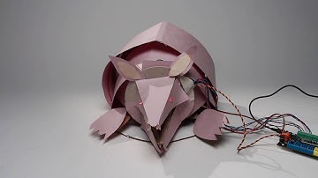 Armadillo- Robot Petting Zoo 2016