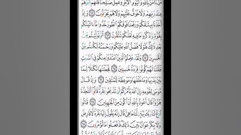 صفحة 10 القارئ الشيخ محمد صديق المنشاوي