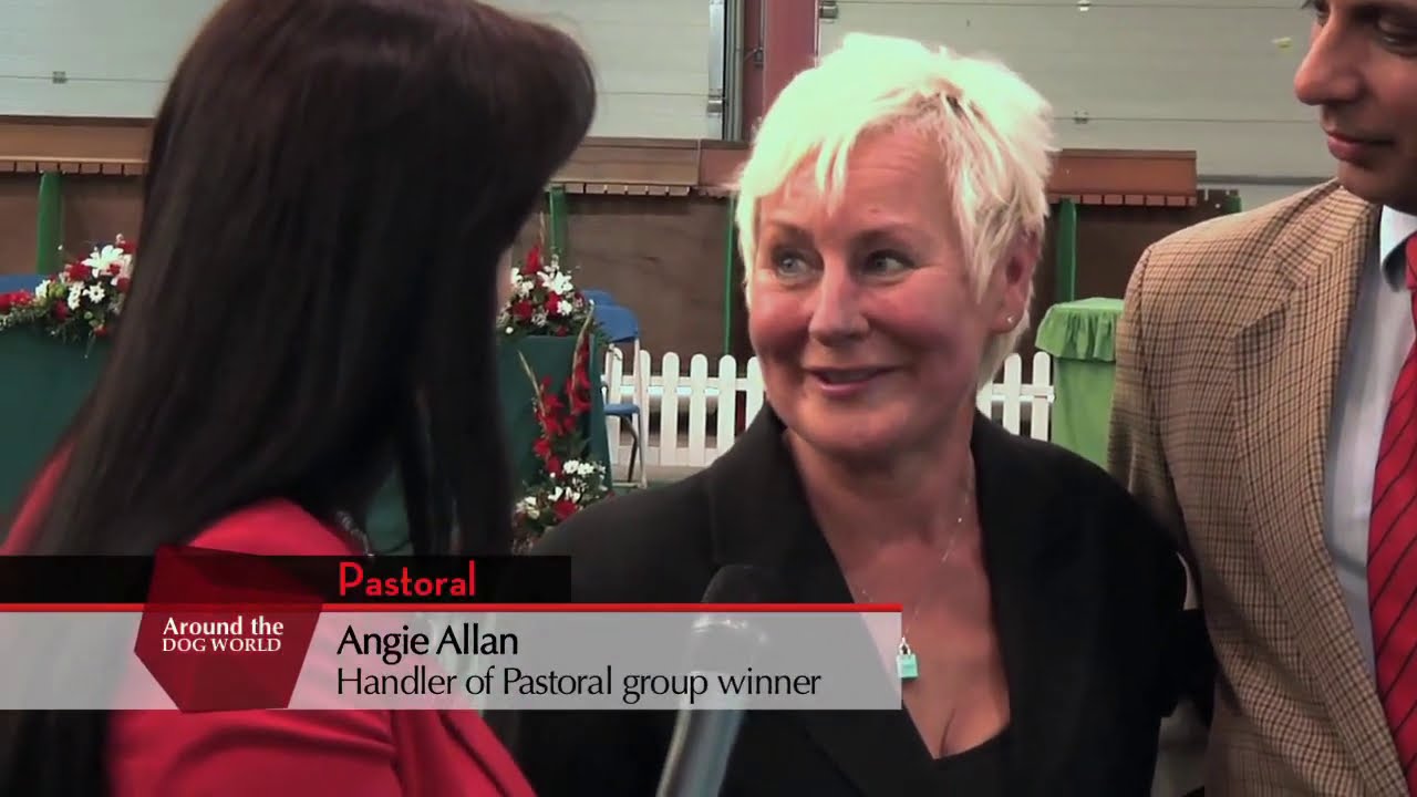 Главные события Уэльского клуба собаководства 2012 года