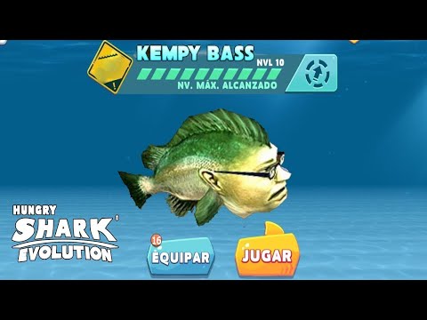 Video: Kempy bass kimdir?