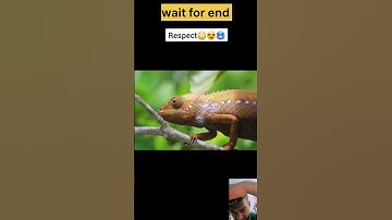 respect 100/ wait for end/ respect  video #respect #shorts #viral
