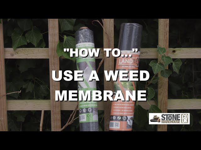 How To Use Your Weed Membrane You