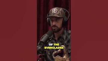 Surviving a Deadly Python Bite in the Heart of the Everglades