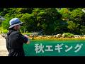 マジ？CROW3号でリアルな秋エギング【エンバーメイズ】