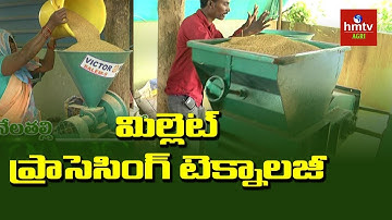 Millet Processing Units at Turkapally | Organic Millet Cultivation | hmtv Agri