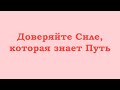 Доверяйте Силе, которая знает Путь