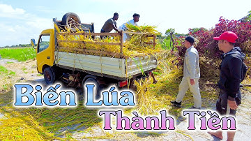 Linh Philip || Cấy Lúa Là Chân Ái, Không Bỏ Xót Bất Cứ Phần Nào, Có Thể Biến Chúng Thành Tiền???