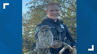 Pleasant Hill police officer steps up in aftermath of tornado