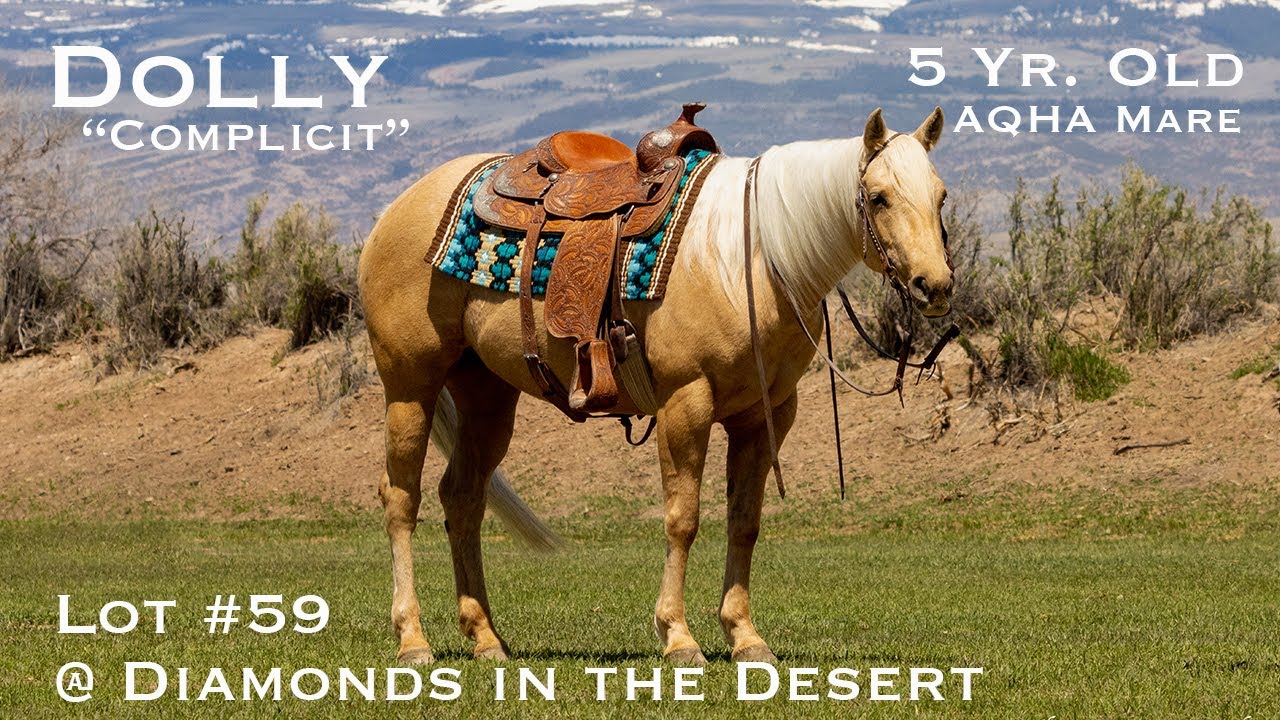 Lot 59 offered by Mahoney Mules and Horses Diamonds in