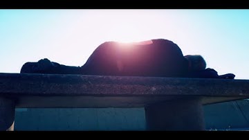 Human Hibernation Is So Real