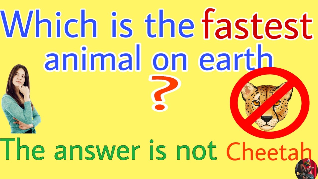Tricky GK questions with answers| tricky riddles | logical reasoning