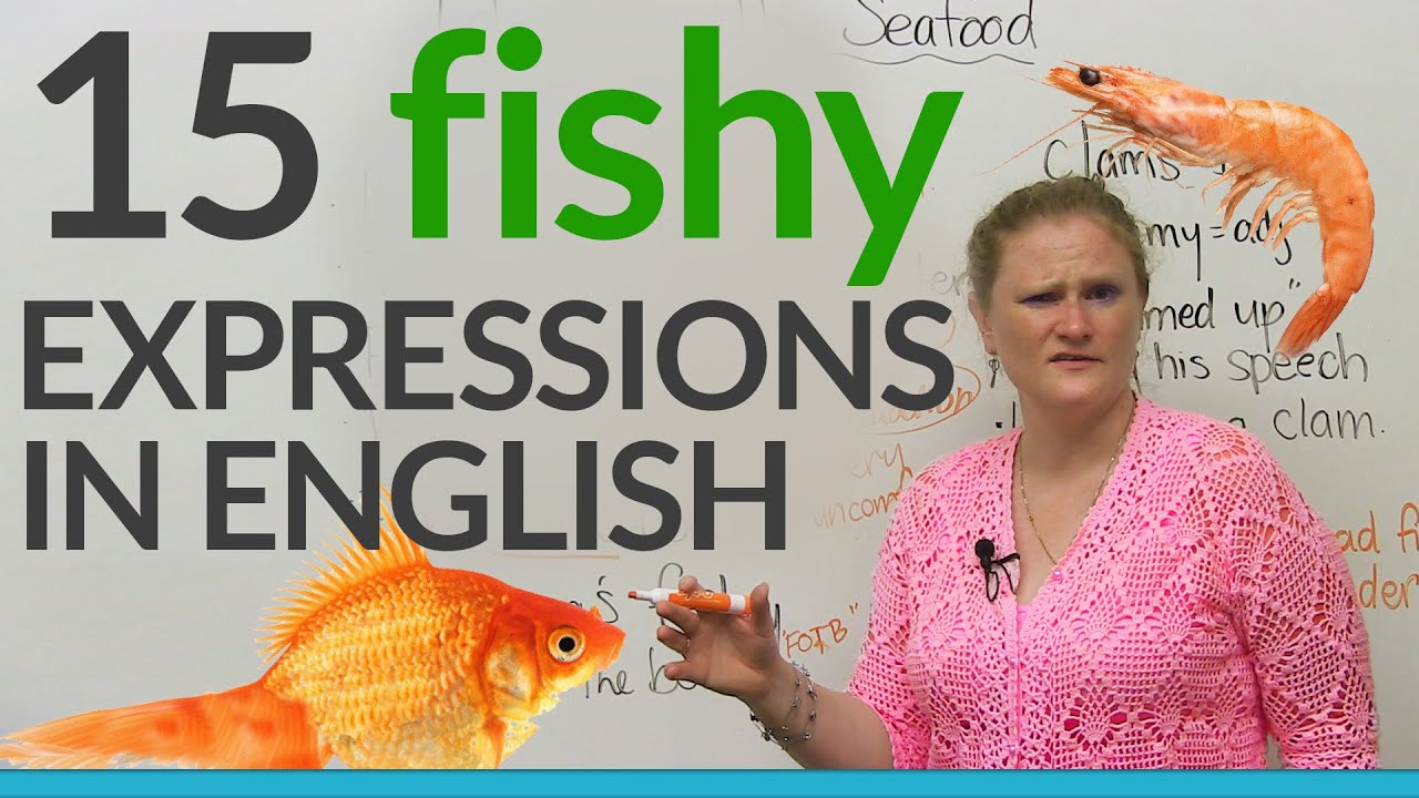 15 Fishy Expressions in English · engVid