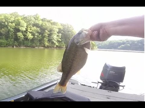 08/12/2024 Normandy Bass Fishing Trip – Buzzbait dozen